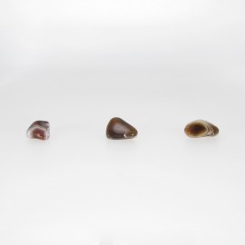 Pierres roulées Agate du Botswana
