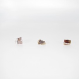 Pierres roulées Agate du Botswana