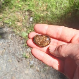 Pierre roulée en Bronzite