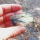 Labradorite de Madagascar 1 face polie