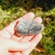 Labradorite de Madagascar 1 face polie
