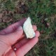 Labradorite de Madagascar 1 face polie