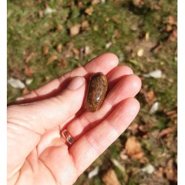 Pierre roulée en Bronzite