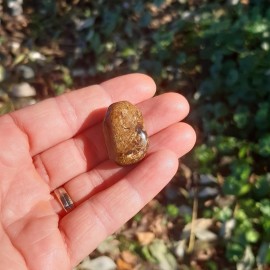 Pierre roulée en Bronzite
