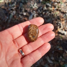 Pierre roulée en Bronzite