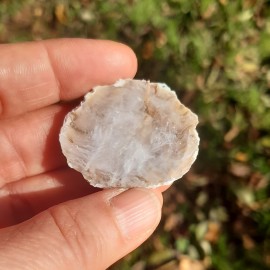 Mini demi géode d'Agate du Brésil