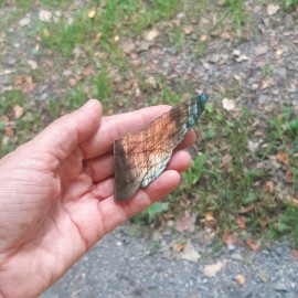 Labradorite de Madagascar 1 face polie
