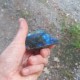 Labradorite de Madagascar 1 face polie