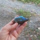 Labradorite de Madagascar 1 face polie