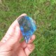 Labradorite de Madagascar 1 face polie